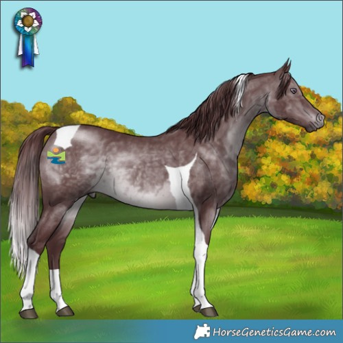 Horse Color:Chocolate Brown Chinchilla Tobiano 