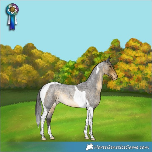 Horse Color:Buckskin Roan Tobiano Appaloosa Rabicano