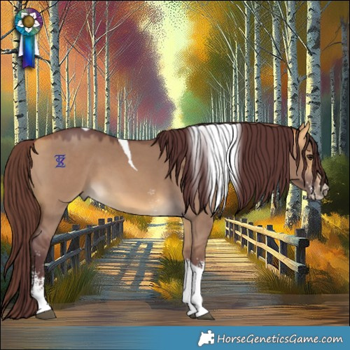 Horse Color:Chocolate Buckskin Dun Sabino Tobiano 