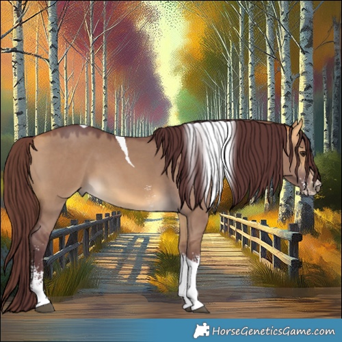 Horse Color:Chocolate Buckskin Dun Sabino Tobiano