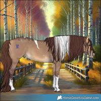 Horse Color:Chocolate Buckskin Dun Sabino Tobiano