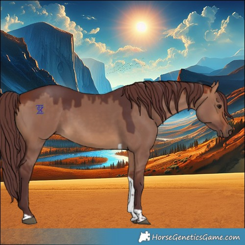 Horse Color:Chocolate Bay Dun Sabino Tobiano