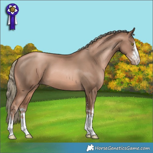 Horse Color:Liver Chestnut Pearl Mushroom