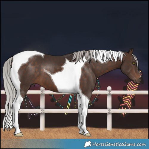 Horse Color:Silver Brown Tobiano 