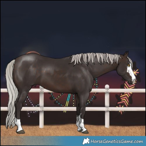 Horse Color:Silver Brown 