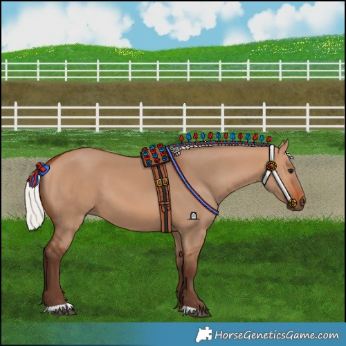 Horse Color:Silver Bay Dun