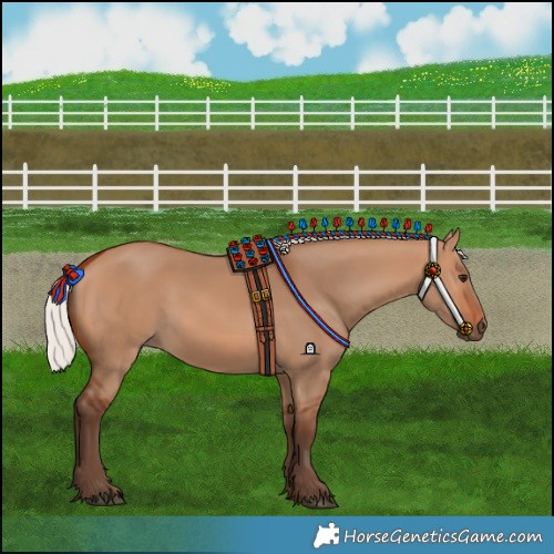 Horse Color:Silver Bay Dun 