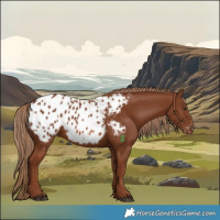 Horse Color:Chestnut Blanket 