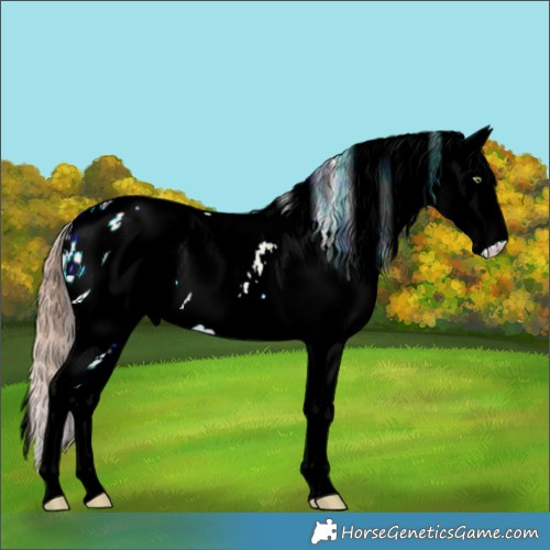 Horse Color:ERROR: UNKNOWN ANOMALY