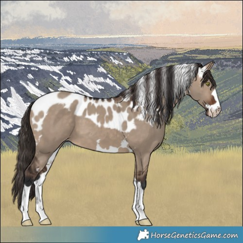 Horse Color:Brown Dun Skewed LP Spotted
