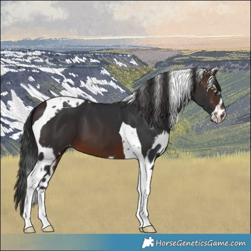 Horse Color:Brown Tobiano Skewed LP Spotted