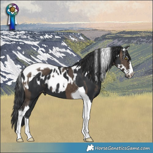 Horse Color:Brown Dun Tobiano Skewed LP Spotted  and Black Tobiano Skewed LP Spotted 