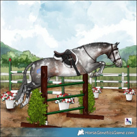 Horse Color:Powder White Gray Bay Frame Rabicano