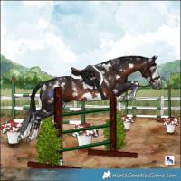 Horse Color:Powder White Gray Bay Frame Rabicano 