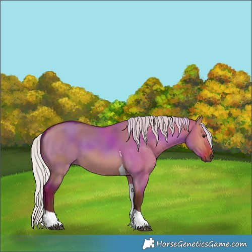 Horse Color:Silver Brown Dun Tobiano