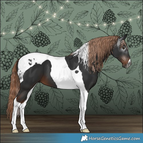 Horse Color:Gray Liver Chestnut Tobiano