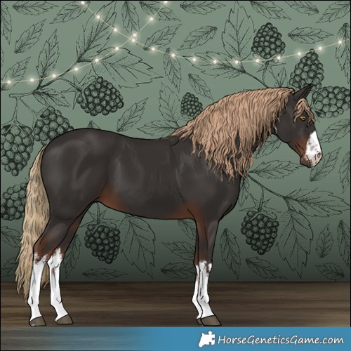 Horse Color:White Spotted Liver Chestnut