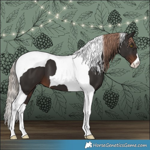 Horse Color:Liver Chestnut Tobiano 