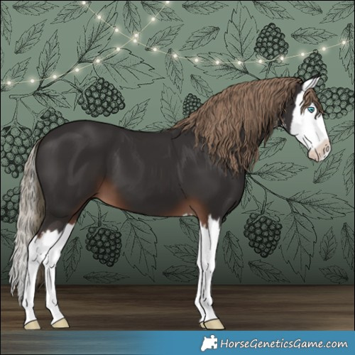 Horse Color:White Spotted Liver Chestnut Splash 