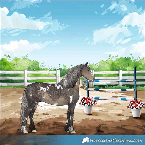 Horse Color:White Spotted Silver Smoky Black Rabicano