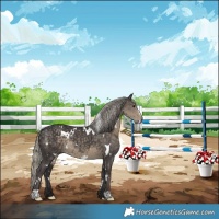 Horse Color:White Spotted Silver Smoky Black Rabicano