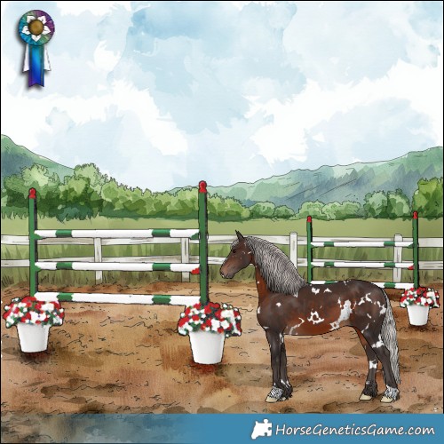 Horse Color:White Spotted Silver Brown