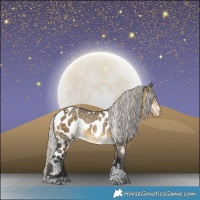 Horse Color:White Spotted Silver Buckskin Dun Merle Tobiano Skewed Appaloosa 