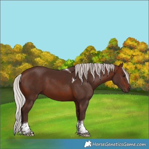 Horse Color:Silver Brown Tobiano
