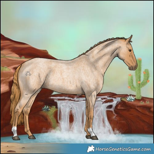 Horse Color:Red Roan 
