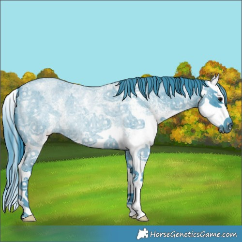 Horse Color:Watercolor White Spotted Blue Roan Splash