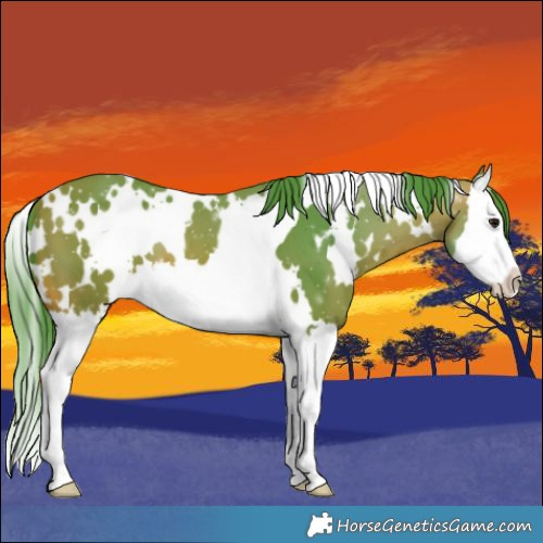 Horse Color:Watercolor White Spotted Bay Splash 