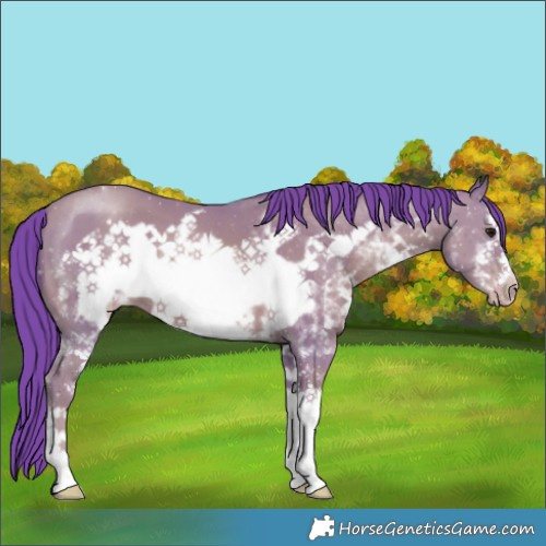 Horse Color:Watercolor White Spotted Classic Champagne Frame 
