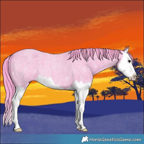 Horse Color:Watercolor Blue Roan Splash 