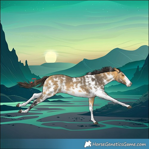 Horse Color:Buckskin Sabino 