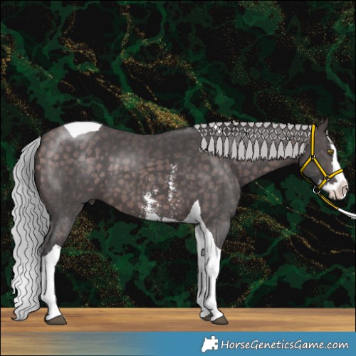 Horse Color:Platinum Silver Brown Sabino Splash Tobiano 