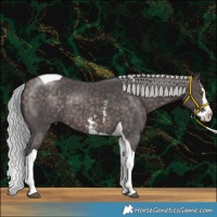 Horse Color:Platinum Silver Brown Sabino Splash Tobiano