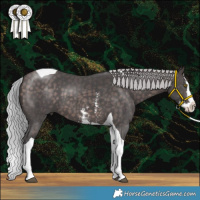 Horse Color:Platinum Silver Brown Sabino Splash Tobiano