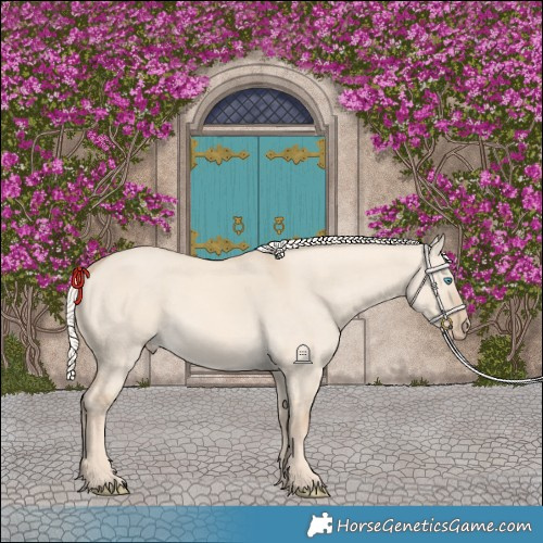 Horse Color:Cremello Dun 
