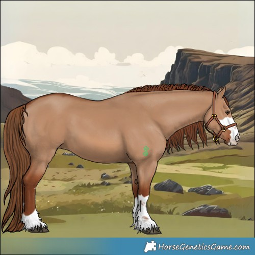 Horse Color:Red Dun