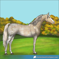 Horse Color:Plaid  White Spotted Chocolate Palomino Ice Splash Rabicano 