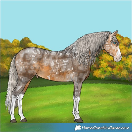 Horse Color:White Spotted Silver Buckskin Ice Splash Varnish Rabicano 