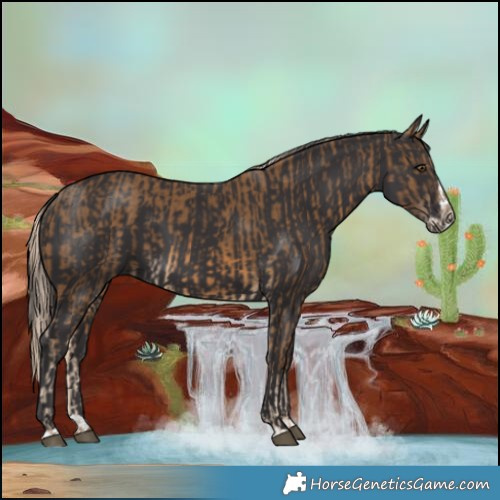 Horse Color:Chocolate Palomino and Smoky Black Splash