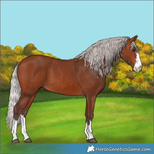 Horse Color:Silver Brown