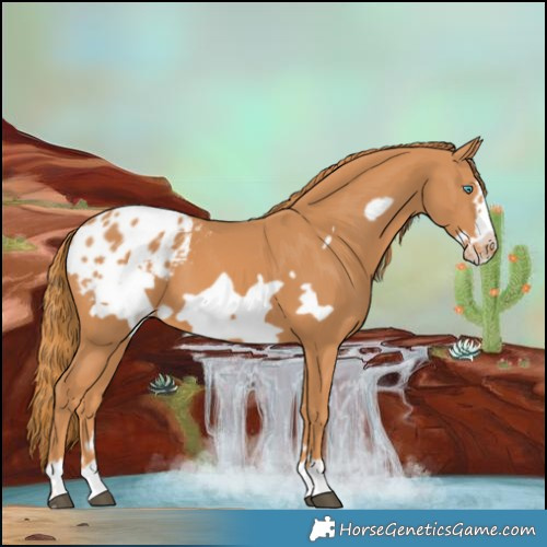 Horse Color:Chestnut Frame Blanket 