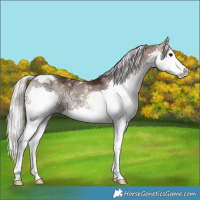 Horse Color:Silver Brown Ice Onyx Splash Tobiano Rabicano
