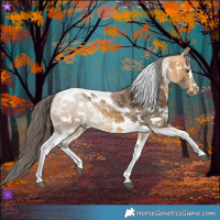 Horse Color:Buckskin Sabino Tobiano 