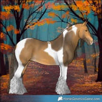 Horse Color:Buckskin Tobiano 