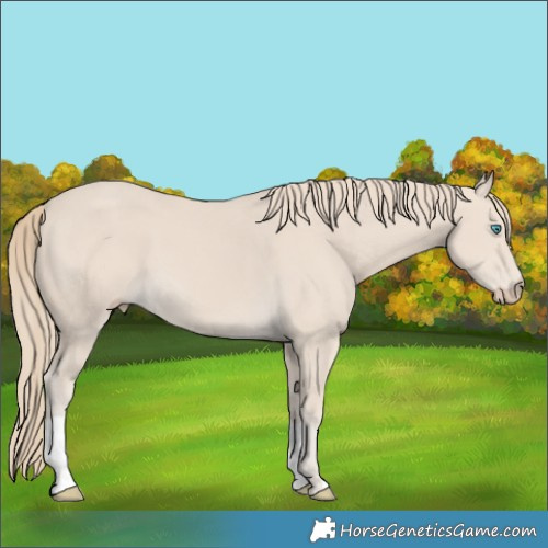 Horse Color:Smoky Creme 