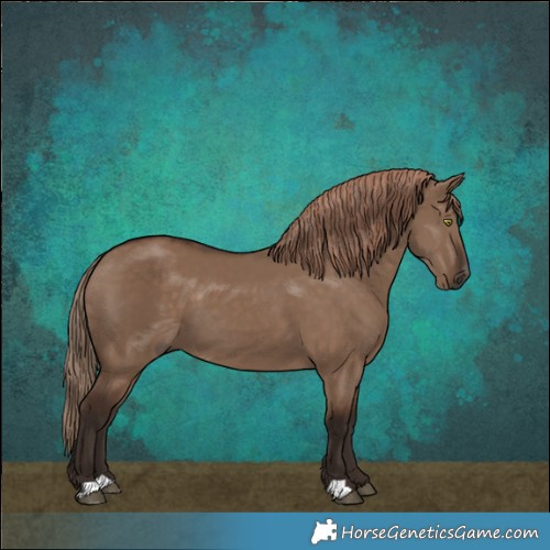 Horse Color:Liver Red Dun