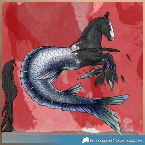 Horse Color:Black Blanket